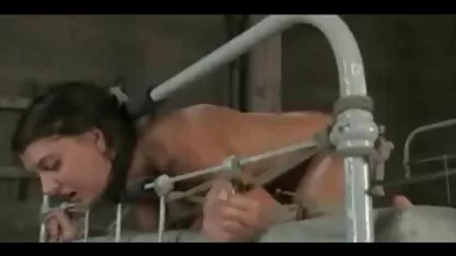 یک زن خانه دار با مو خاکستری به شناکا یک مستاجر جوان می خزد و زهره امیر ابراهیمی سکس او را از استمناء جلوی تل می کشد